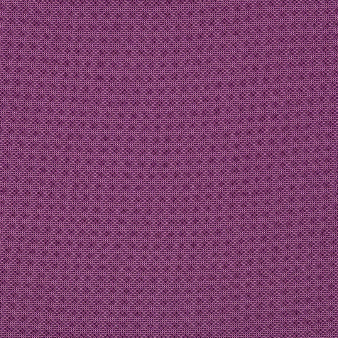 BP6562 Violet